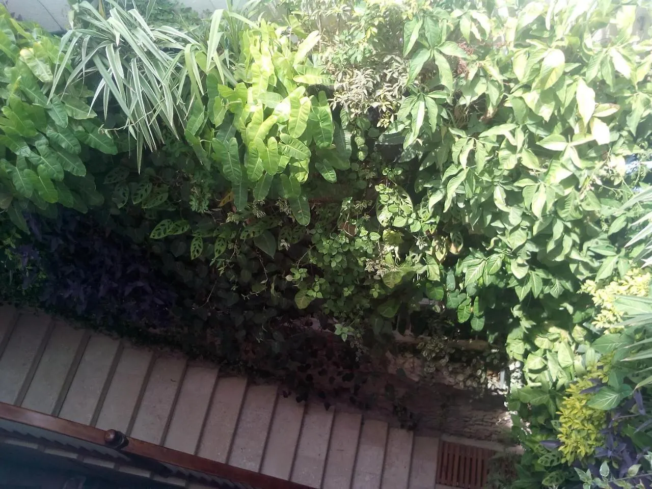 فندق Casa Ebano 967 Cartagena